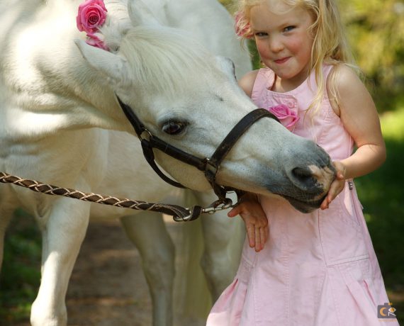 de band met je paard, fotoshoot, paardenfotografie, cecielripfotografie