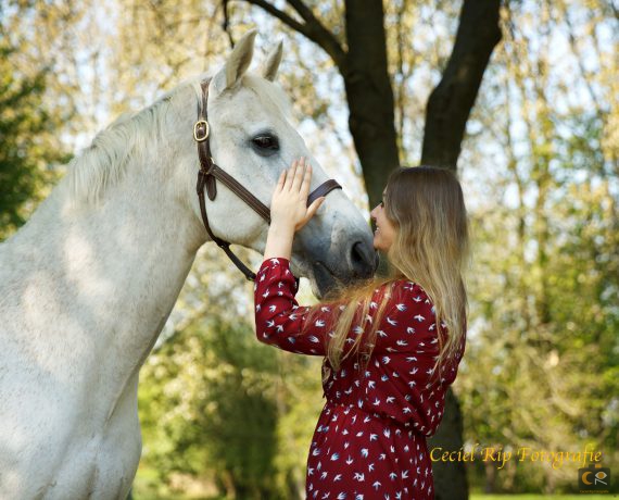 de band met je paard, fotoshoot, paardenfotografie, cecielripfotografie