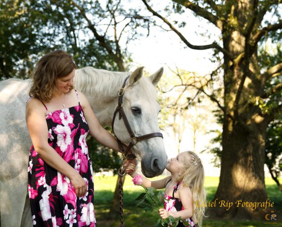 de band met je paard, fotoshoot, paardenfotografie, cecielripfotografie