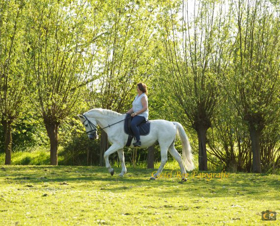 de band met je paard, fotoshoot, paardenfotografie, cecielripfotografie